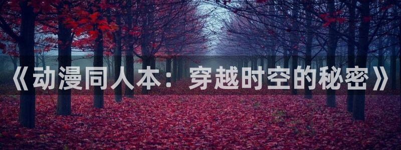 我的碧可风车动漫：《动漫同人本：穿越时空的秘密》