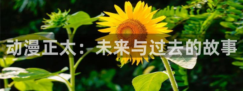 风车动漫在线观看下载：动漫正太：未来与过去的故事