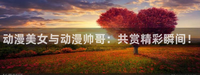 风车动漫在线观看免费高清