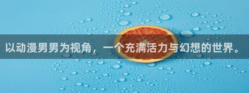 宝可梦地平线风车动漫