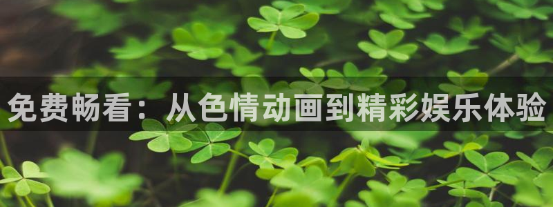 风车动漫dm530专注动漫的门户网站