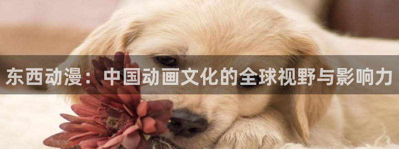 新风车动漫最新版