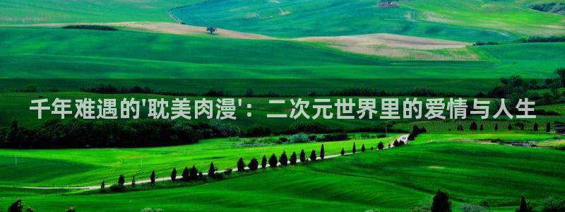 风车动漫高清在线看