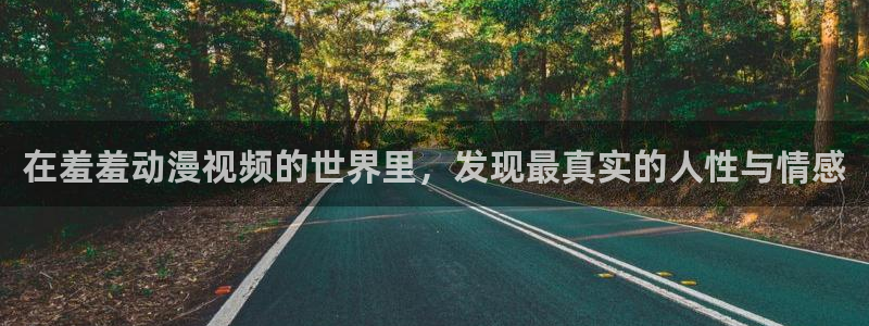 在线风车动漫：在羞羞动漫视频的世界里，发现最真实的人性与情感